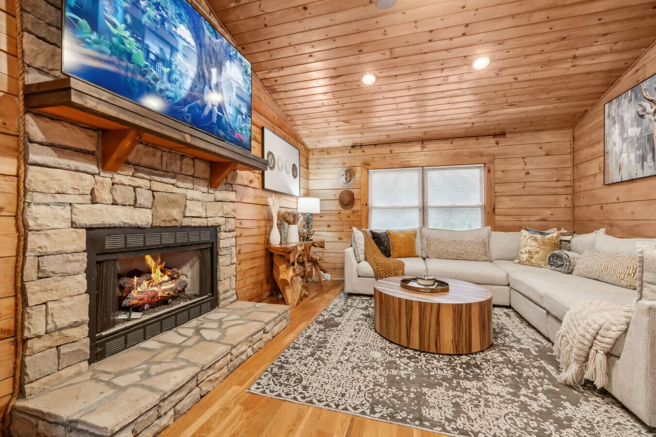 TV, fireplace, video games, ping pong