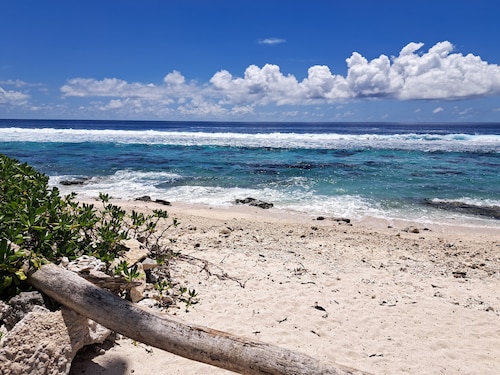 Bungalow Alizé on stilts overlooking the lagoon and ocean 