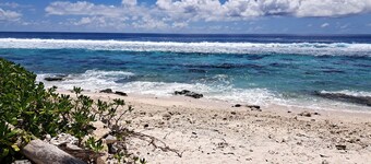 Bungalow Alizé on stilts overlooking the lagoon and ocean 