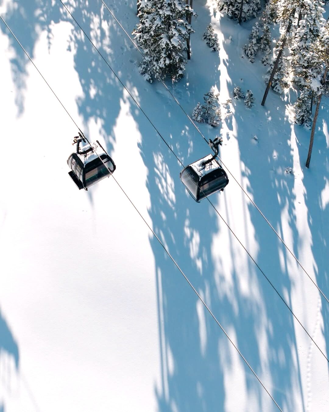 Un sistema de teleférico en un paisaje nevado con árboles.