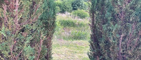 Terrain de lâhĂ©bergement