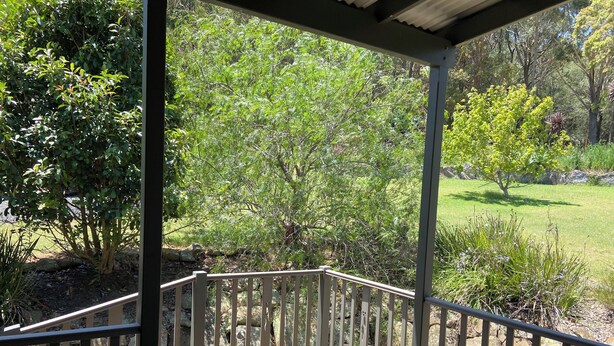 A wooden deck with a metal railing, surrounded by greenery and trees.
