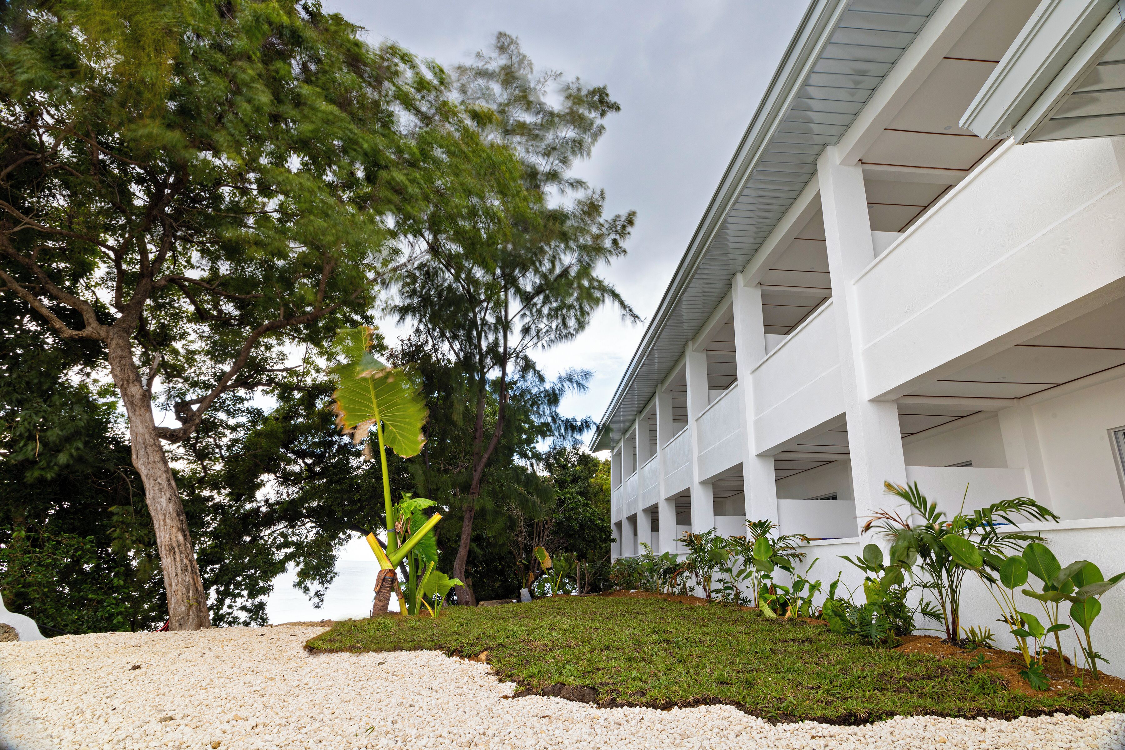 Un edificio con fachada blanca y un espacio exterior cubierto con plantas.