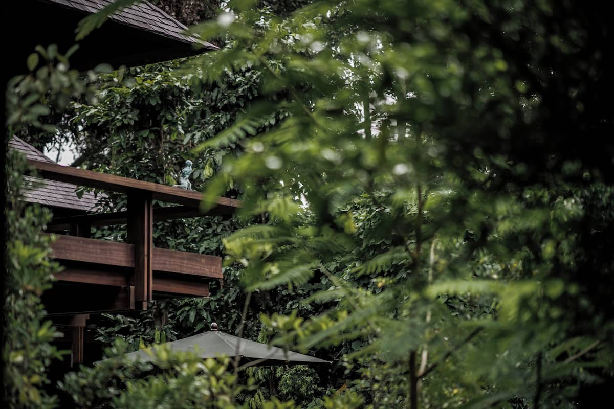 Eine Holzhütte mit Dach, umgeben von dichtem Grün.
