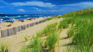 Een strand met een houten omheining, duinen en een helderblauwe lucht.