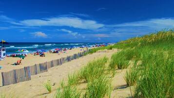 Plage à proximité
