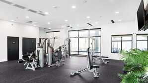 A modern gym with various exercise machines, large windows, and a potted plant.