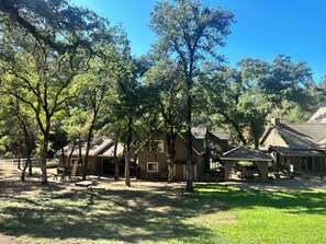A residential area with multiple houses, surrounded by trees and a grassy lawn.