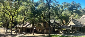 Cozy 2 bedroom cottage, a romantic retreat for the holidays, a skiers paradise!