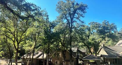 Cozy 2 bedroom cottage, a romantic retreat for the holidays, a skiers paradise!