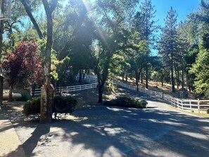 Property grounds - Cozy 2 bedroom cottage, a romantic retreat for the holidays, a skiers paradise! (Grass Valley)