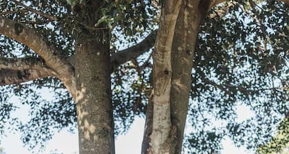 Killara Farm - Country escape | views | Pool | Firepit | Sunshine Coast