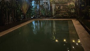 Ein Schwimmbad bei Nacht mit Lichterketten und tropischen Pflanzen.