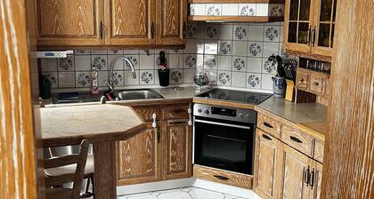 Spacious vacation apartment with terrace in the heart of the Ore Mountains