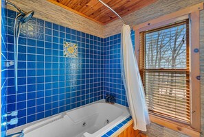 Hair dryer - Mountain Cottage~MtnViews~5MiDt~ (Asheville)