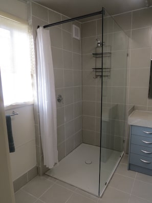 Shower, towels, toilet paper