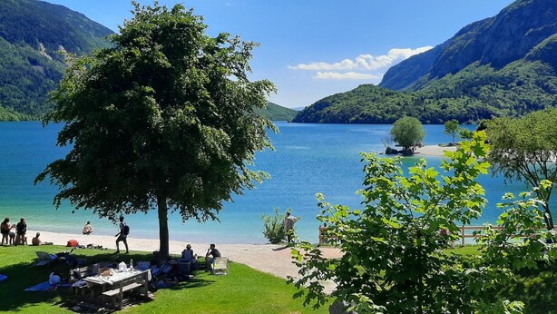 A lakeside view with a large tree in the foreground, a sandy beach, and mountains in the background. - Lake & Nature Hotel Gloria (Molveno)