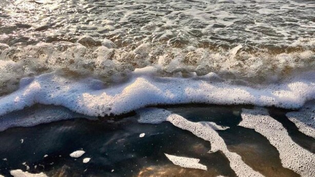 A beach with waves gently lapping onto the shore.