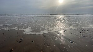 A beach with the sun low on the horizon, waves gently lapping at the shore, and scattered seaweed.