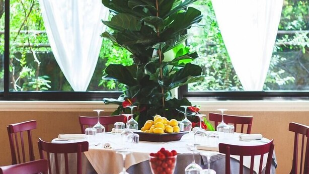 A dining area with round tables, chairs, and a large potted plant. - Albergo Ristorante Grigna (Mandello del Lario)