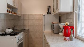 Apartment (Two Bedroom Apartment 1) | Private kitchen | Fridge