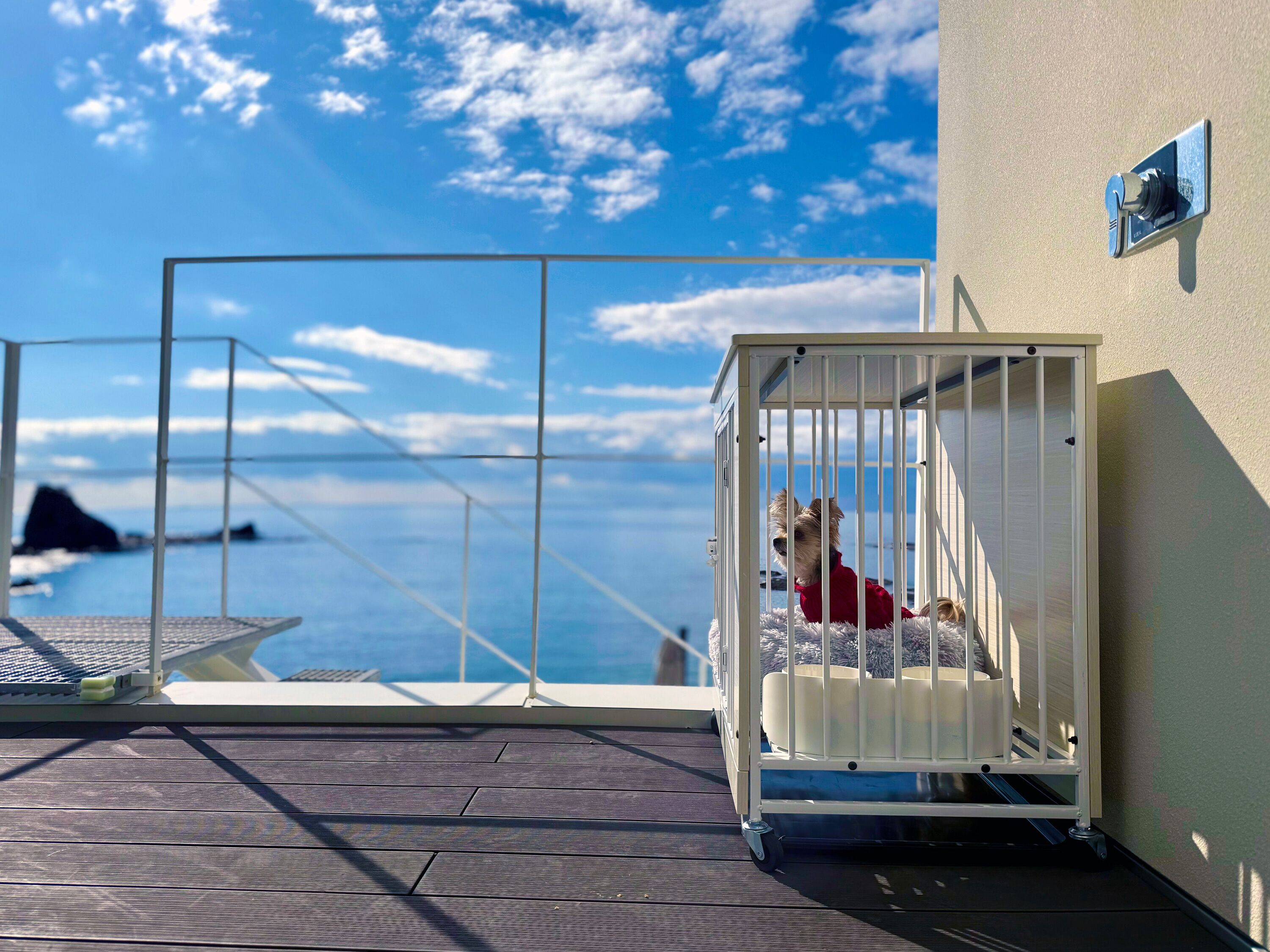 A dog in a white pet carrier on a balcony with a view of the sea and a metal railing.