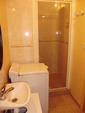 Une salle de bain avec un lavabo, des toilettes et une douche.