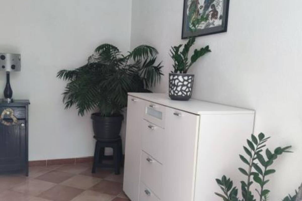 A room with a white cabinet, a potted plant, and a framed picture on the wall.