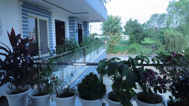 Un balcon agrémenté de plantes en pot et offrant une vue sur un paysage verdoyant.