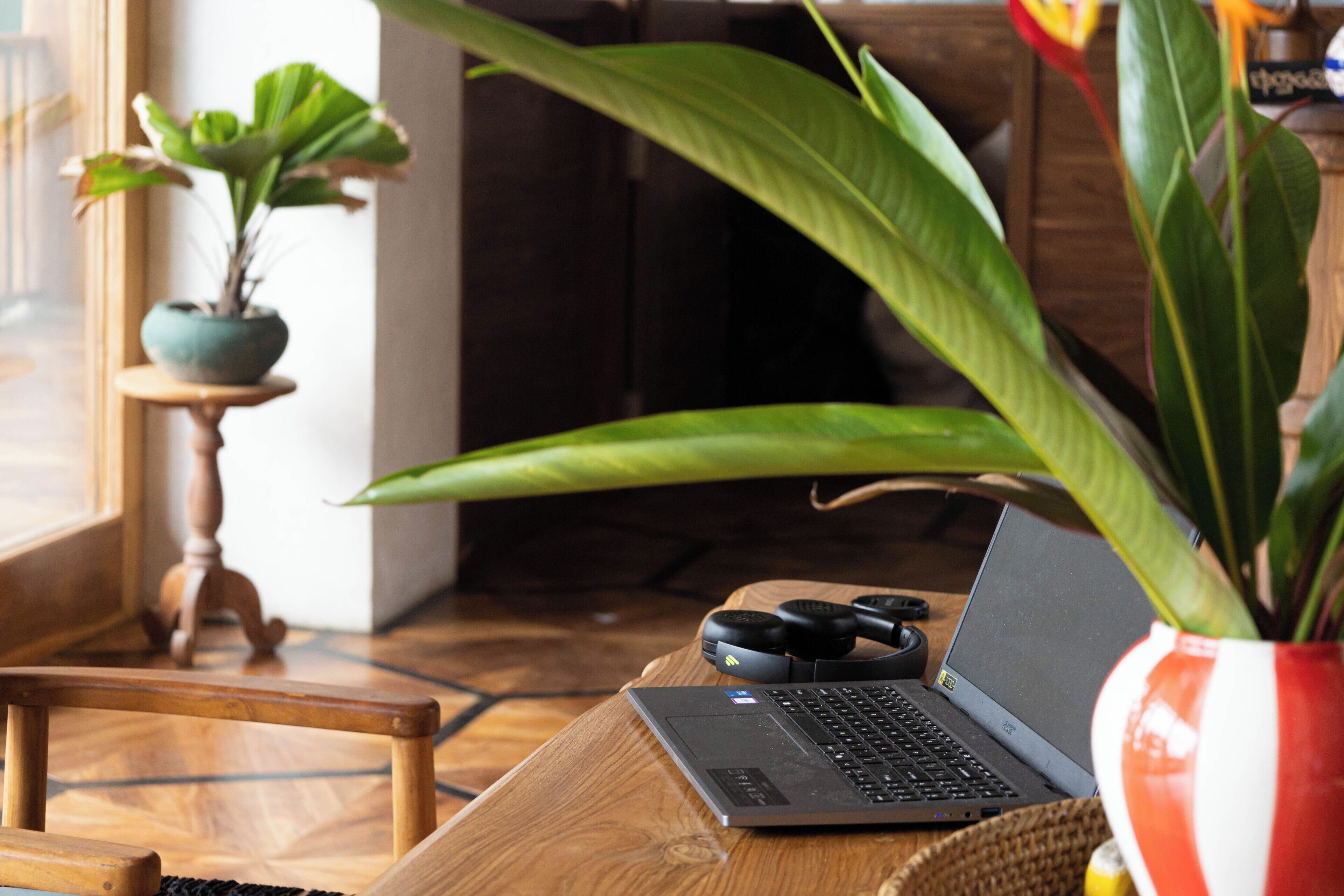 Un ordinateur portable sur une table en bois, avec une plante en pot, un casque audio et une petite chaise.