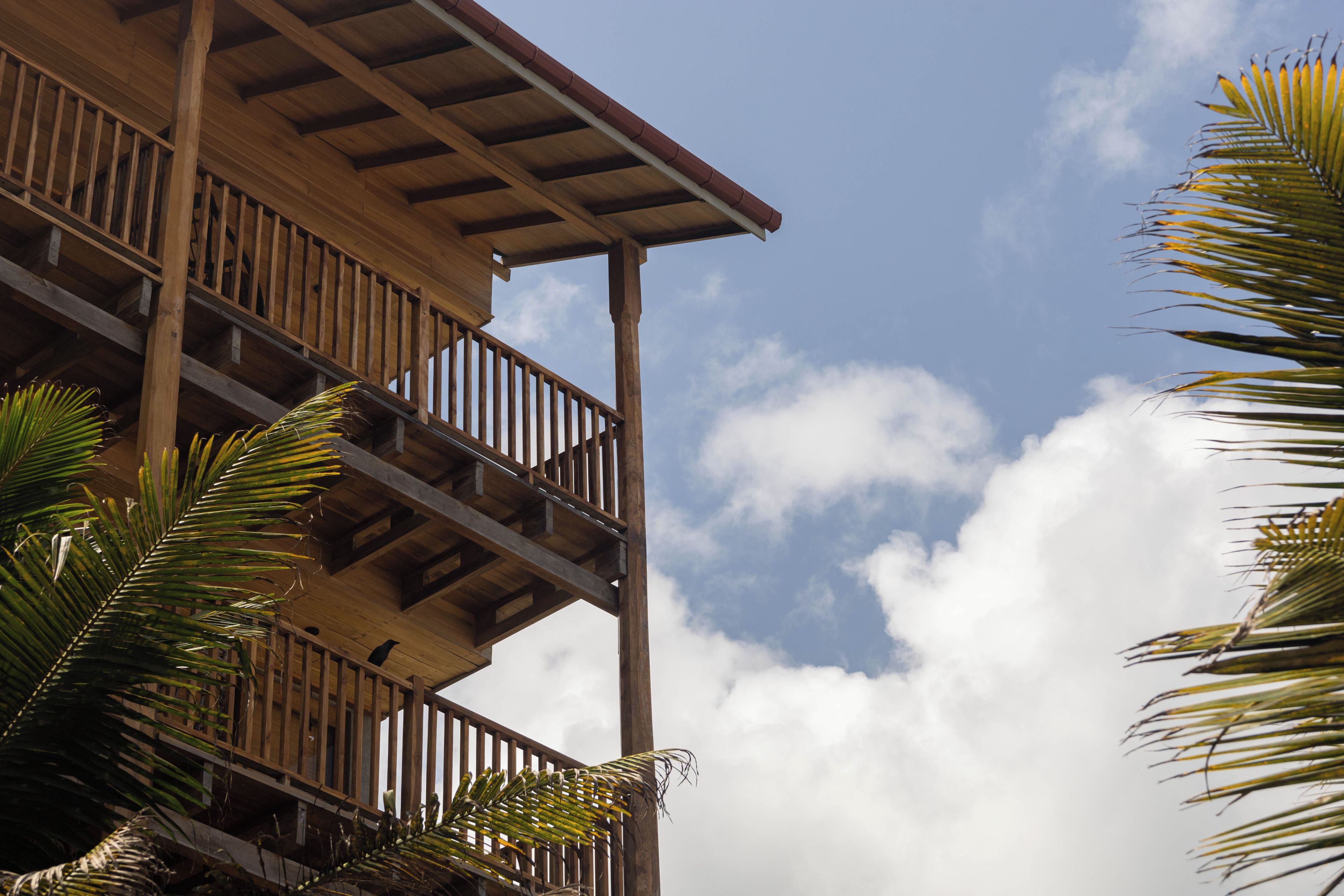 A wooden balcony with railings, a clear sky, and palm trees.