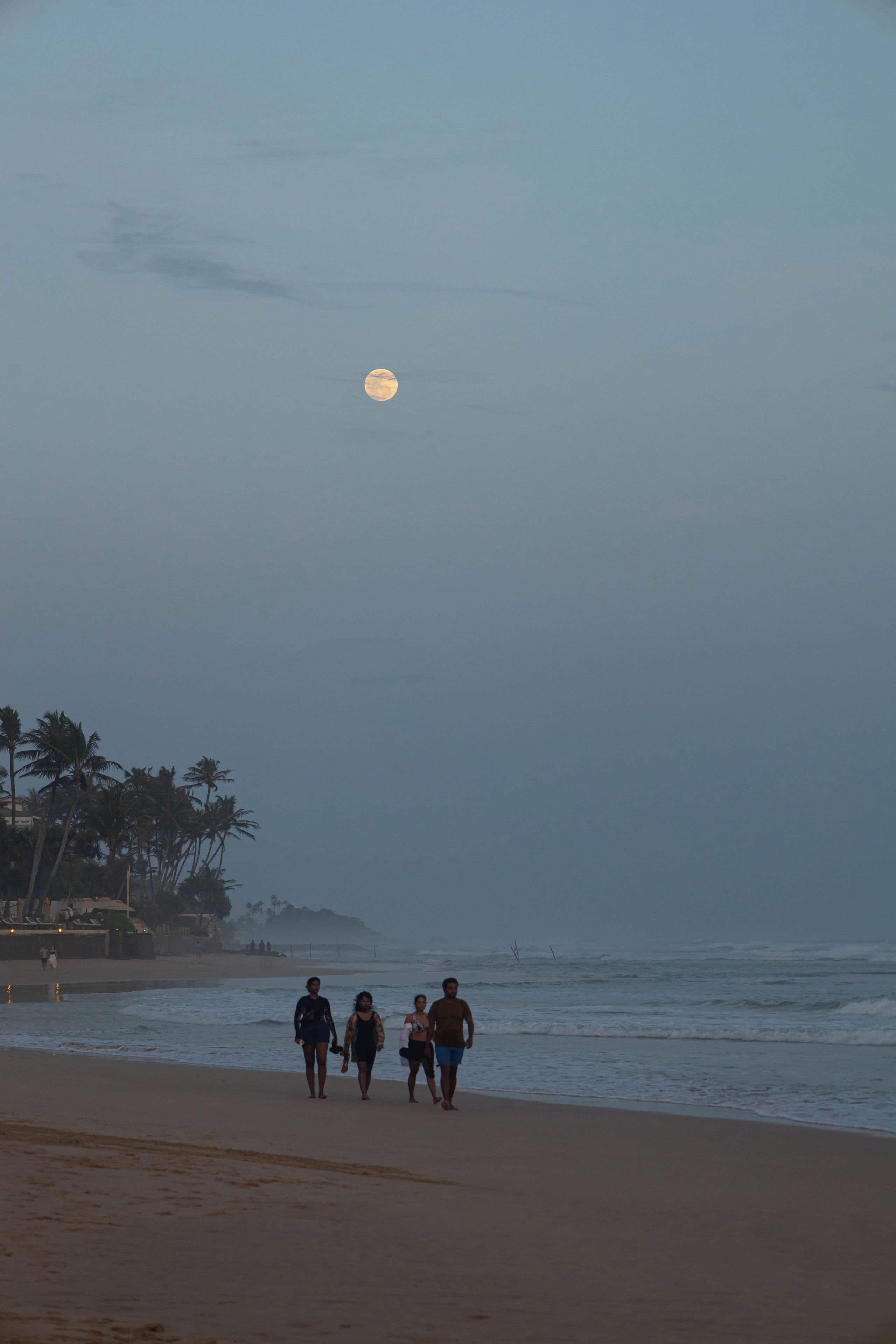 A beach scene with people walking along the shore, palm trees, and the ocean.