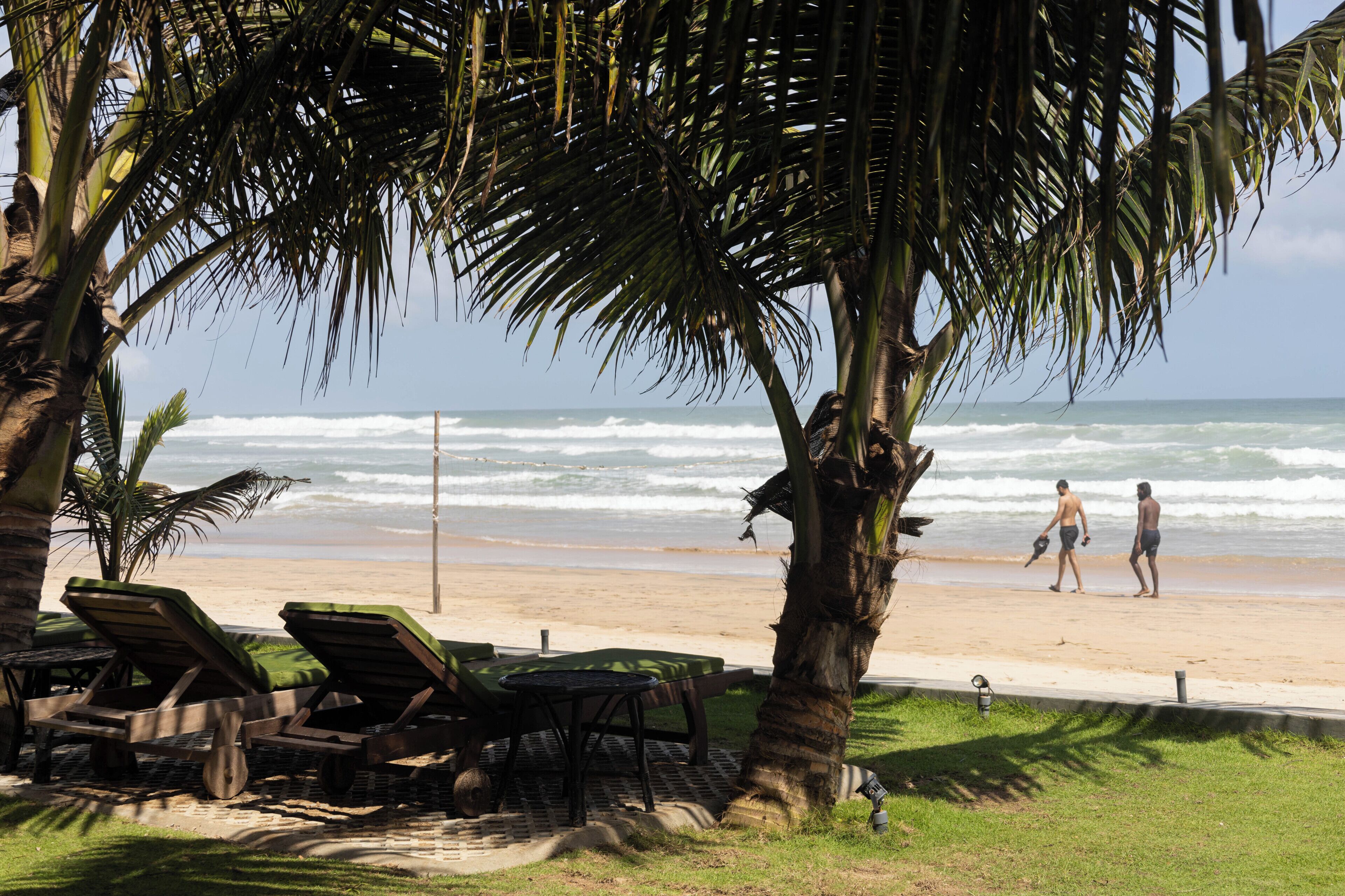 Uma praia com cadeiras de praia, palmeiras e vista para o oceano.