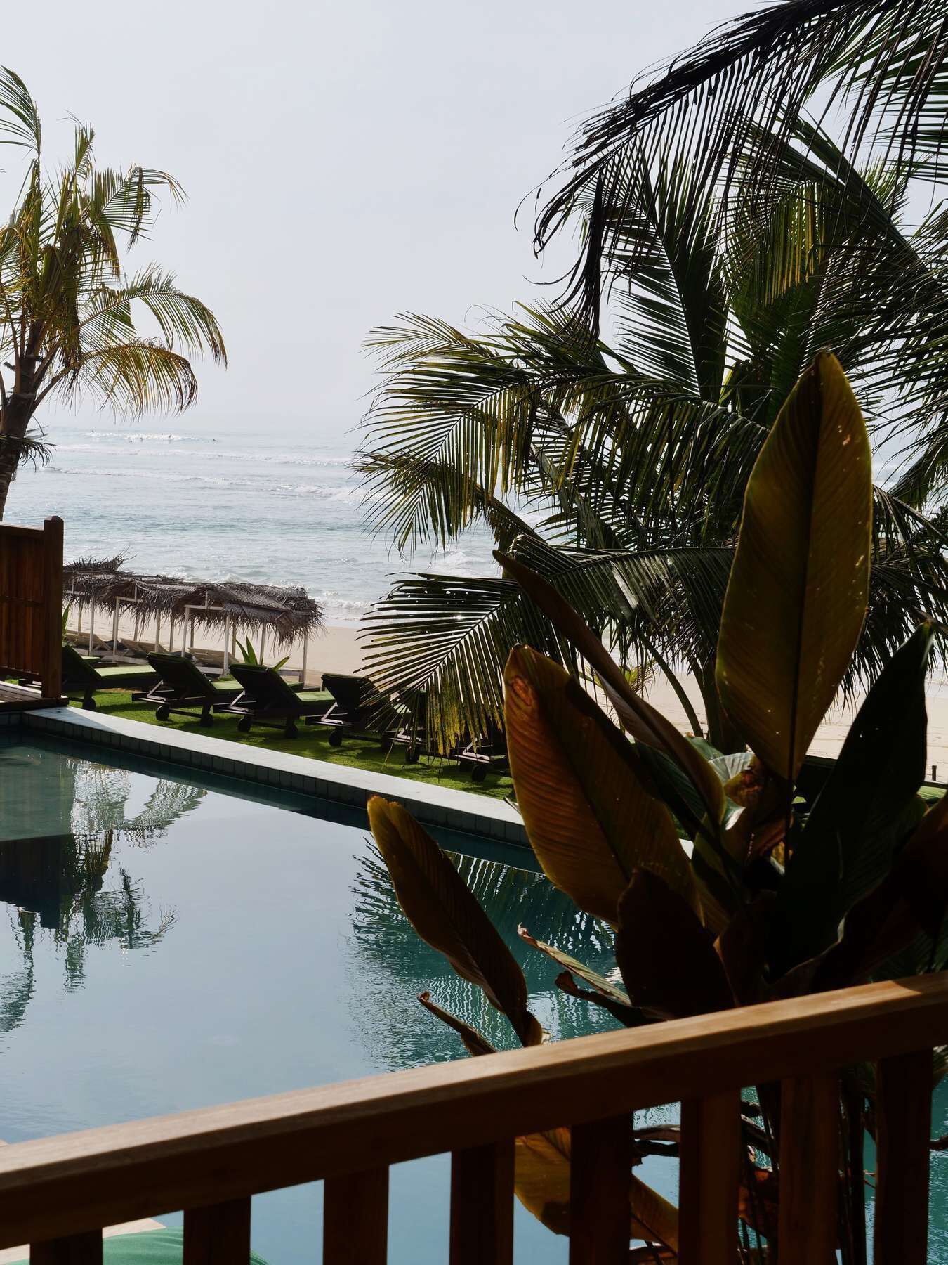 Vista a la piscina con una clara vista al océano, sillas de descanso y palmeras.