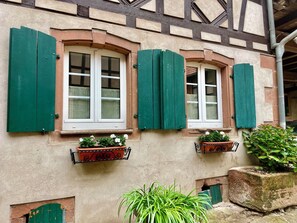 Exterior detail - Renovated country gite: Les glycines d'Offwiller (Offwiller)