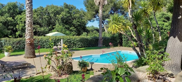Pool - B&B Au Temps pour Vous, in the middle of the vineyards of Bandol (Le Castellet)