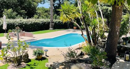 B&B Au Temps pour Vous, in the middle of the vineyards of Bandol