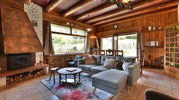 Televisie, een open haard, een dvd-speler en boeken