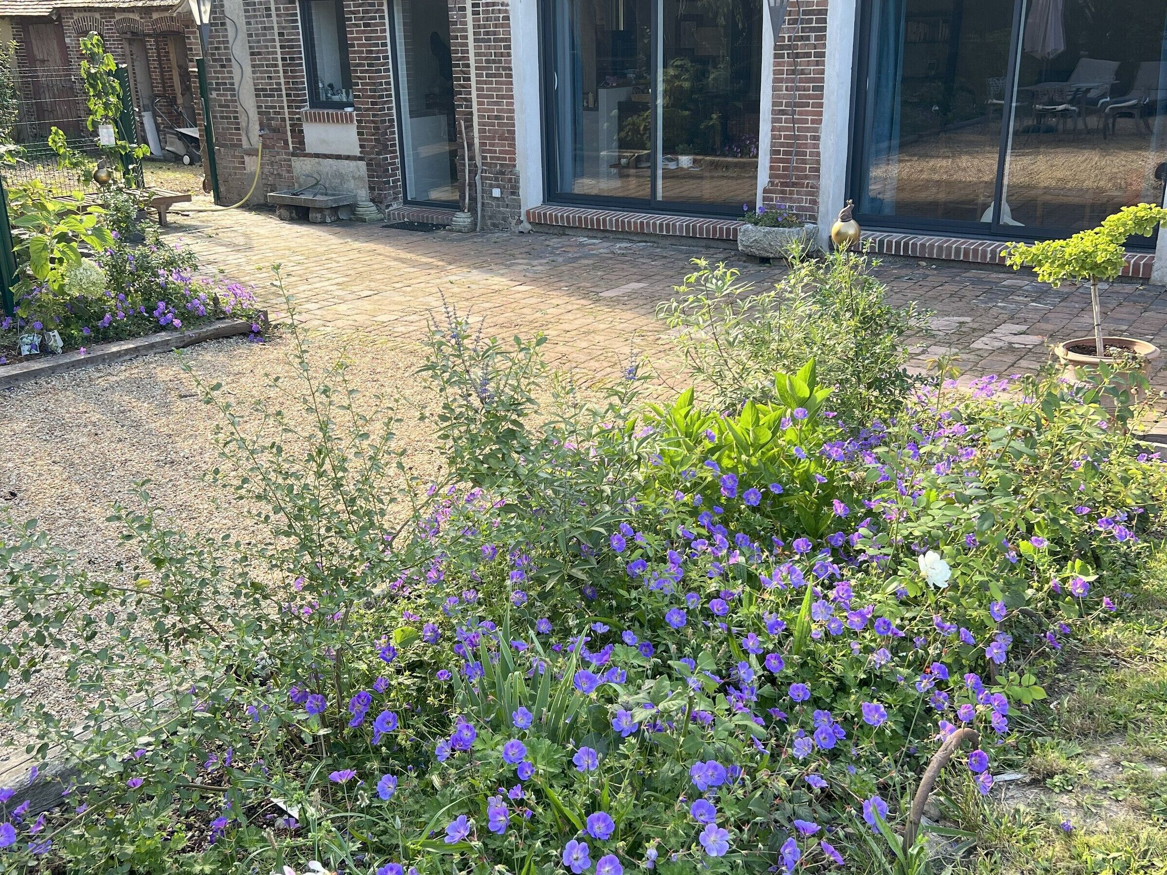 A garden area with a variety of plants and flowers, a brick building with large windows, and a paved walkway.