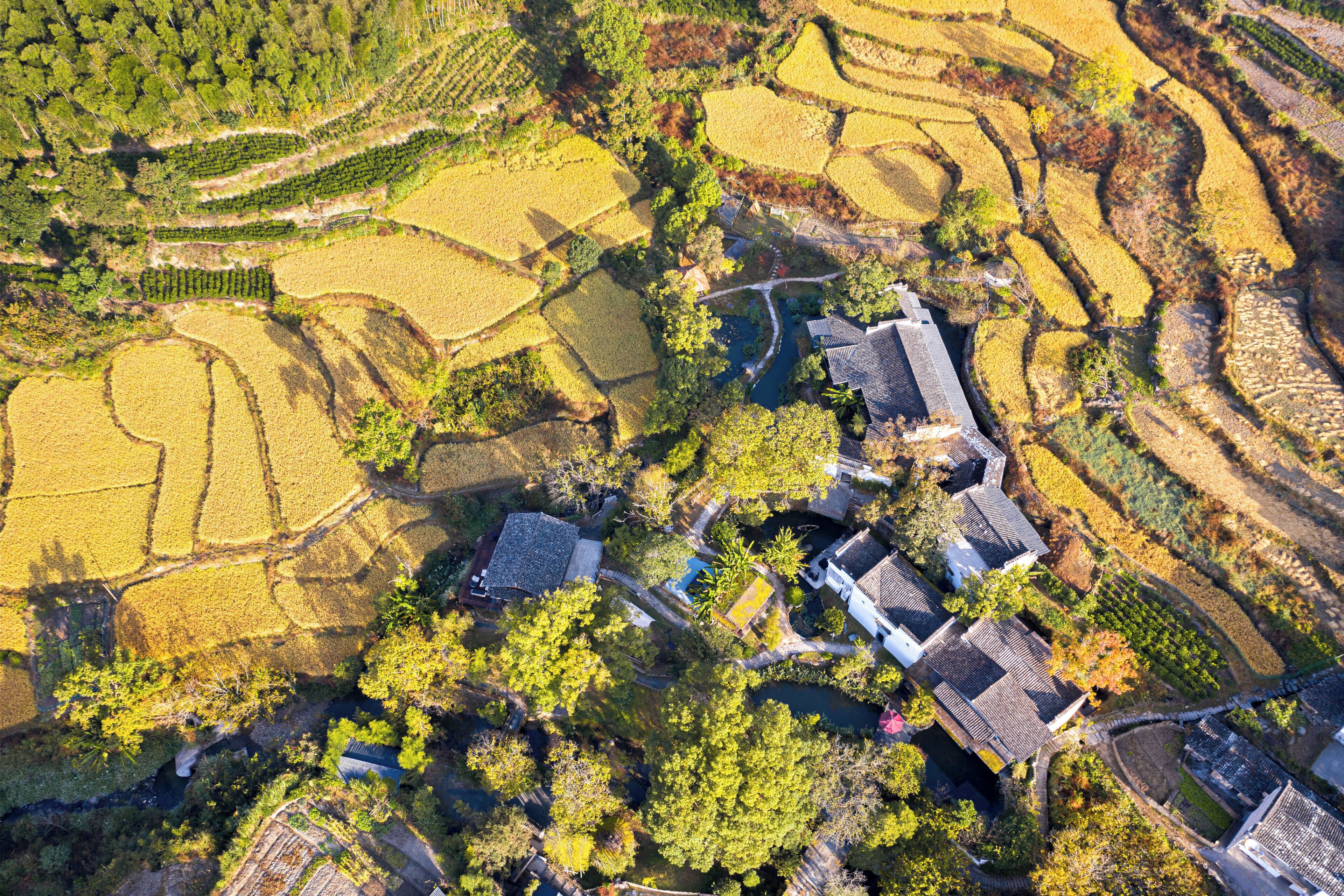 An aerial view of a rural village with terraced fields, traditional houses, and a small water body.