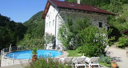 House Pri Macku from 1919, pool, pavillion, hot tube, wine cellar in Soca valley