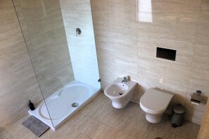Hair dryer, bidet, towels, soap