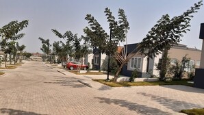 Un chemin pavé bordé d’arbres et d’immeubles modernes.
