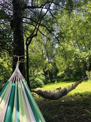 Un hamac est suspendu entre deux arbres dans une zone boisée.
