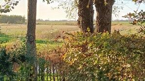 A rural landscape with trees and a field. - Cozy Holiday Home in Sint Maartenszee (Sint Maartensvlotbrug)
