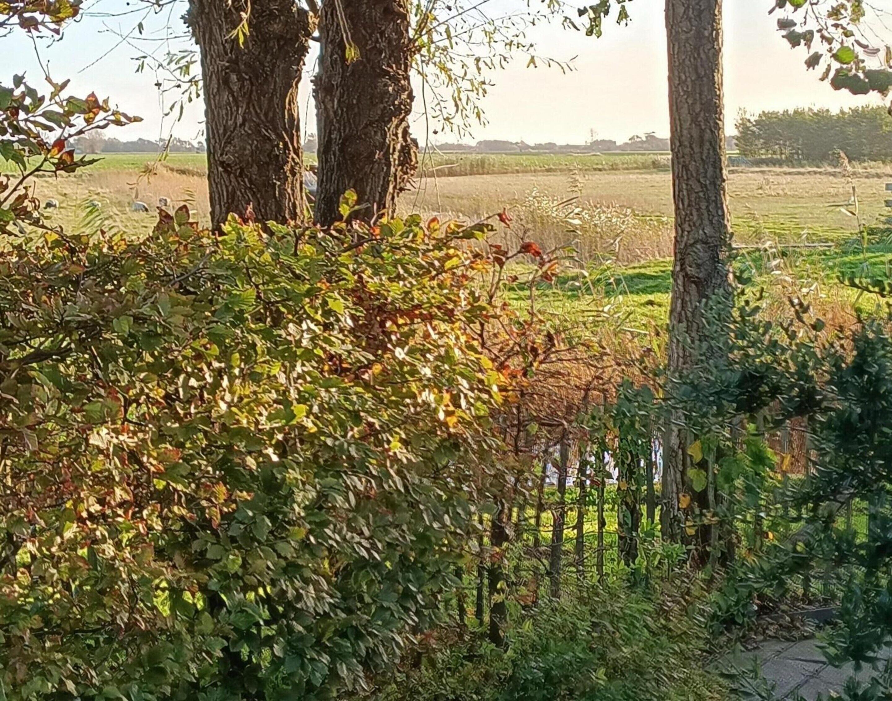 Ferienhaus | Speisen