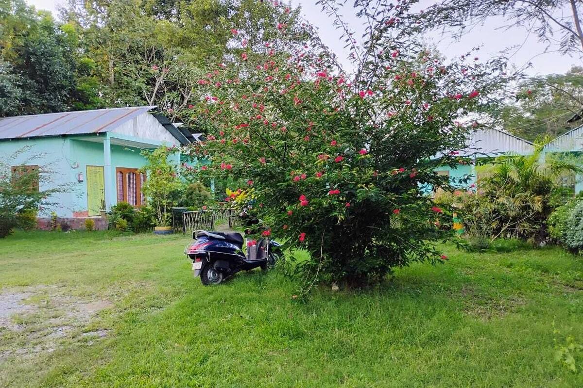 Blick auf den Garten