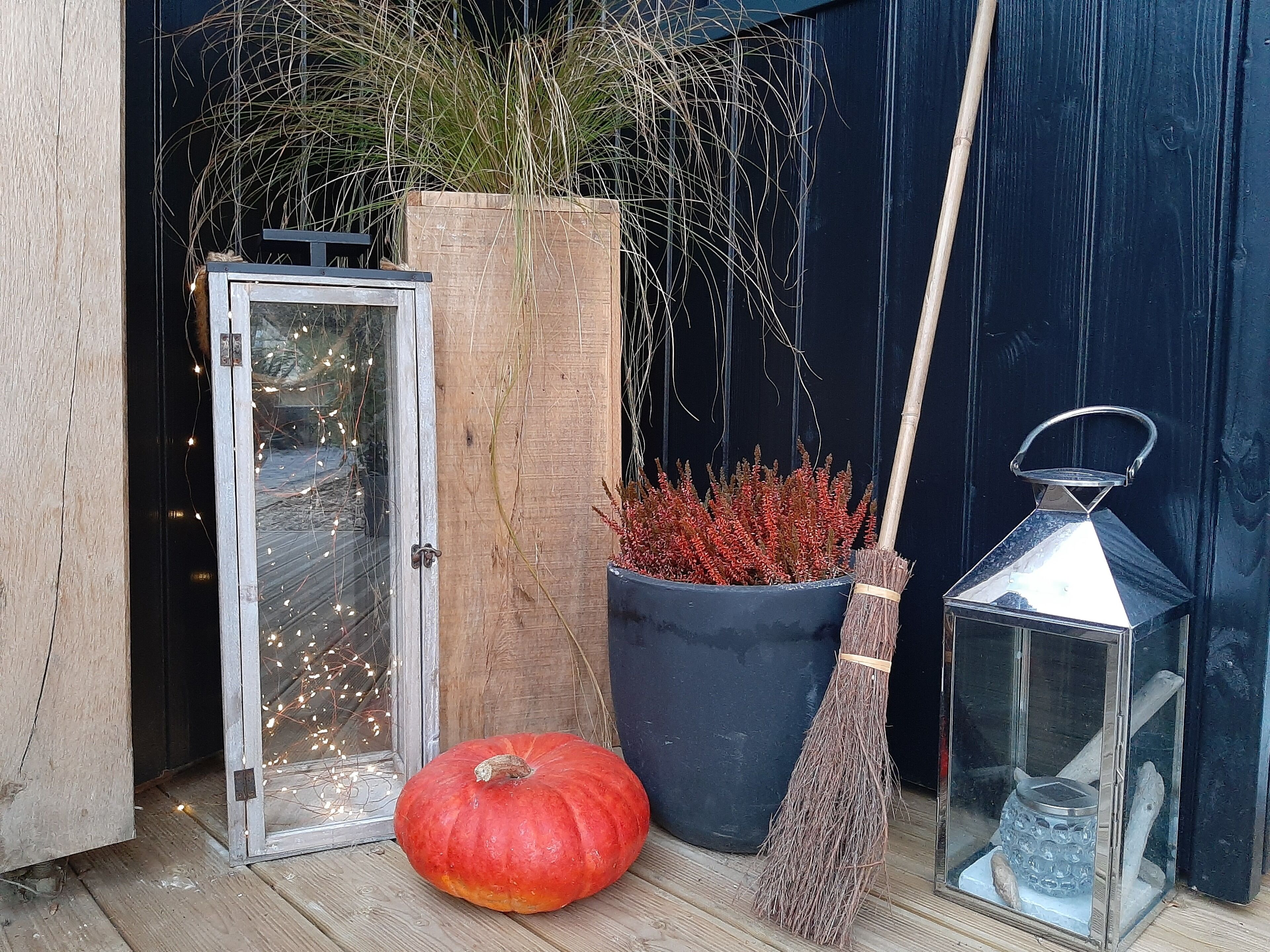 A wooden door, a large planter with red foliage, a pumpkin, a broom, and a lantern.