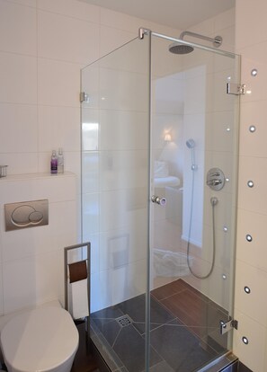 Un baño moderno con ducha envuelta en vidrio, un inodoro y un perchero para toallas.