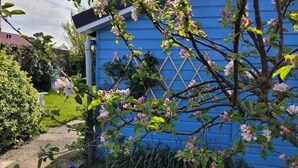 A blue building with a lattice structure, surrounded by a garden with flowering trees and a wooden fence. - Attractive Bungalow Near Beach, Dunes (Sint Maartensvlotbrug)